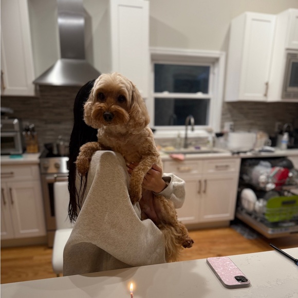 sueismee